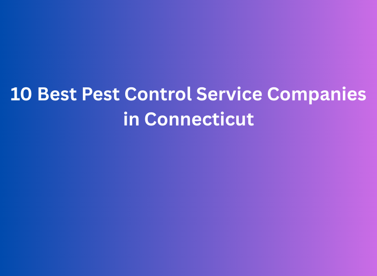 10 Best Pest Control Service Companies in Connecticut
