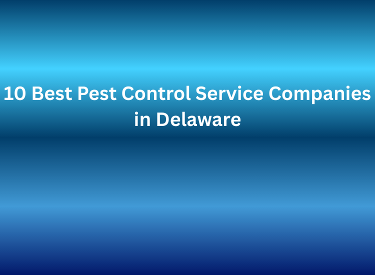 10 Best Pest Control Service Companies in Delaware