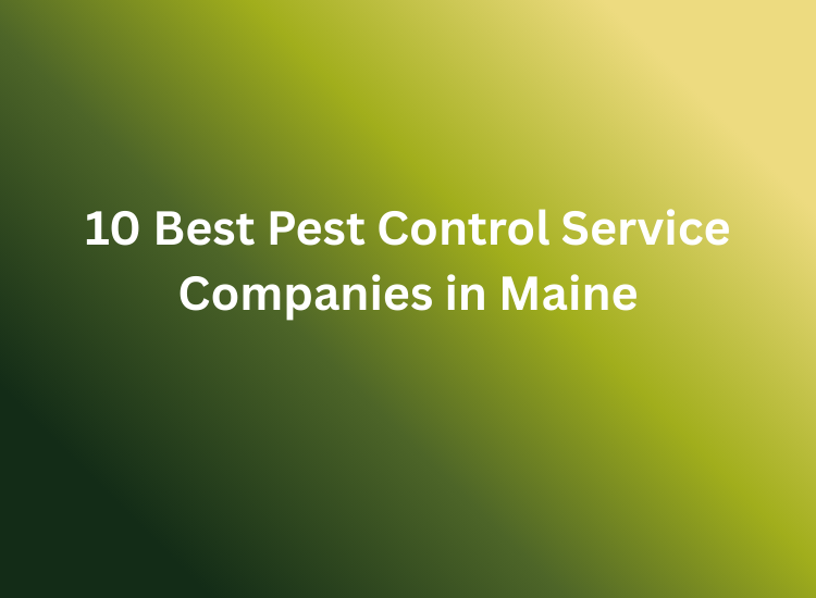 10 Best Pest Control Service Companies in Maine