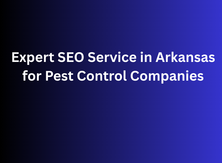 Expert SEO Service in Arkansas for Pest Control Companies