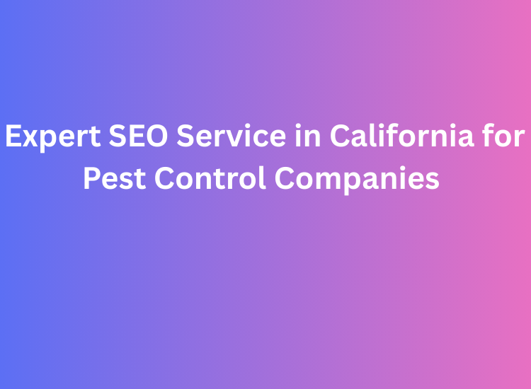 Expert SEO Service in California for Pest Control Companies