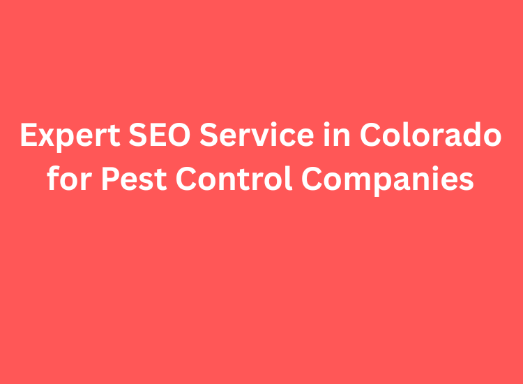 Expert SEO Service in Colorado for Pest Control Companies