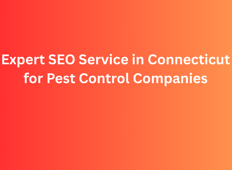 Expert SEO Service in Connecticut for Pest Control Companies