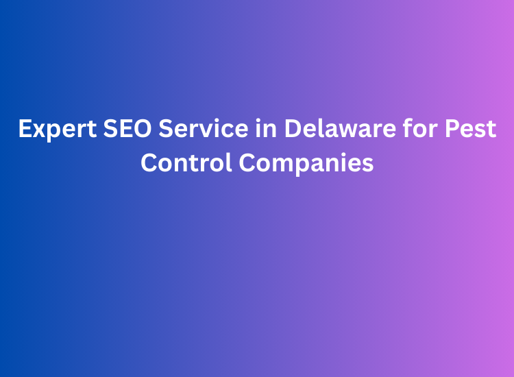 Expert SEO Service in Delaware for Pest Control Companies