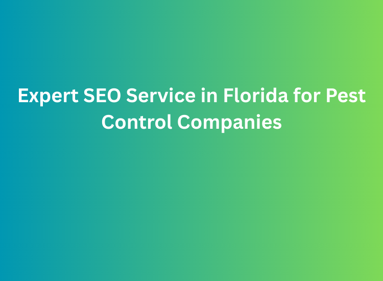 Expert SEO Service in Florida for Pest Control Companies