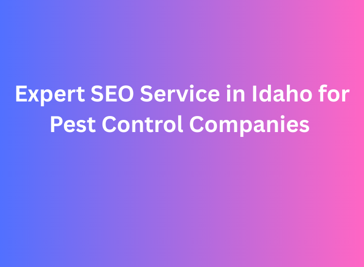 Expert SEO Service in Idaho for Pest Control Companies