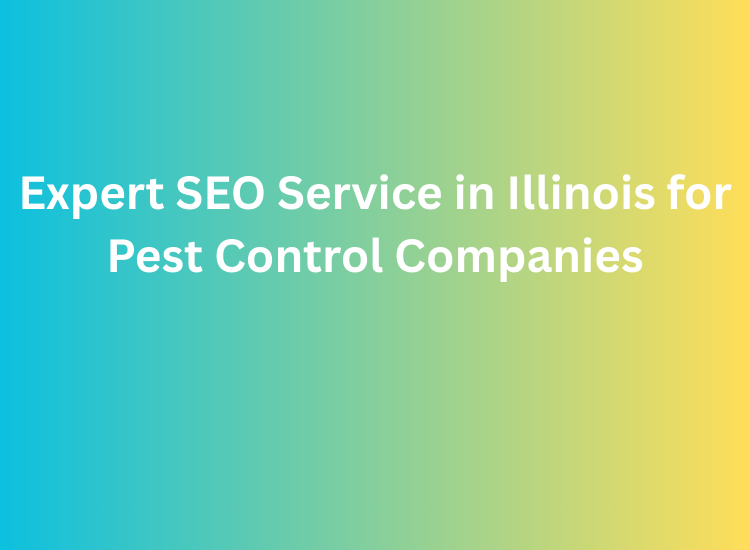 Expert SEO Service in Illinois for Pest Control Companies
