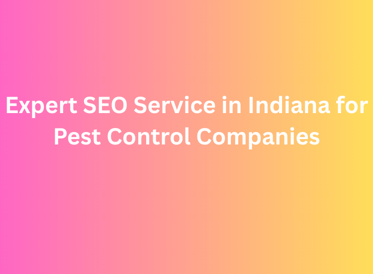 Expert SEO Service in Indiana for Pest Control Companies
