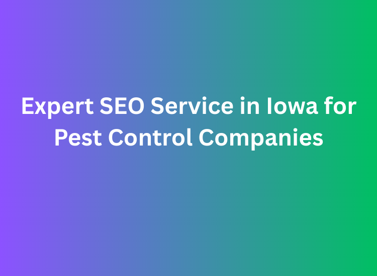 Expert SEO Service in Iowa for Pest Control Companies