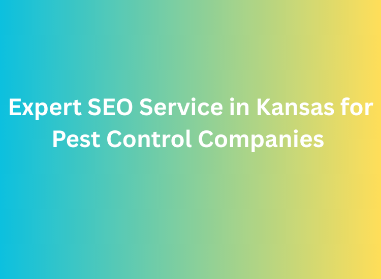Expert SEO Service in Kansas for Pest Control Companies