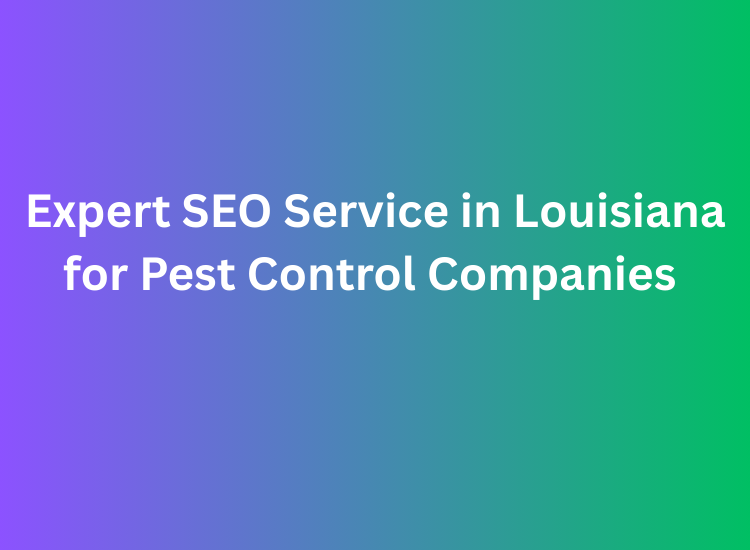 Expert SEO Service in Louisiana for Pest Control Companies