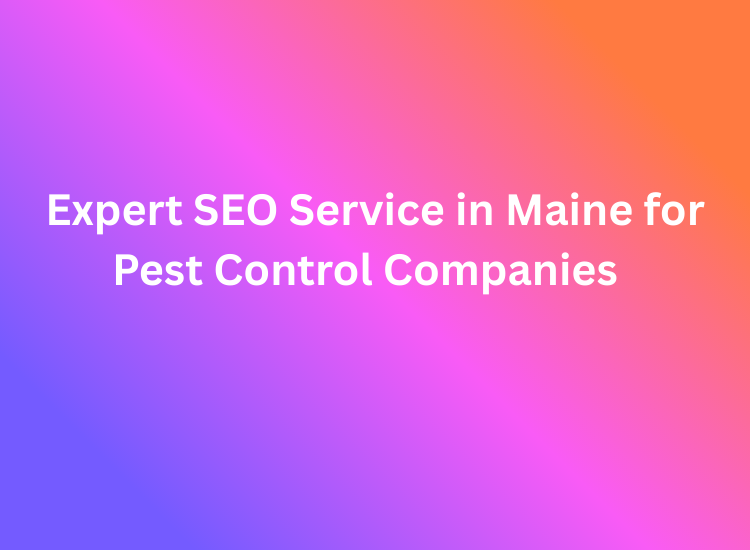 Expert SEO Service in Maine for Pest Control Companies