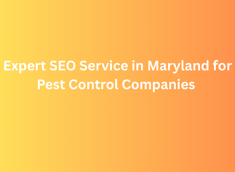 Expert SEO Service in Maryland for Pest Control Companies
