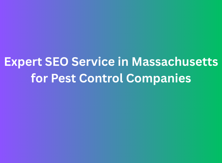 Expert SEO Service in Massachusetts for Pest Control Companies