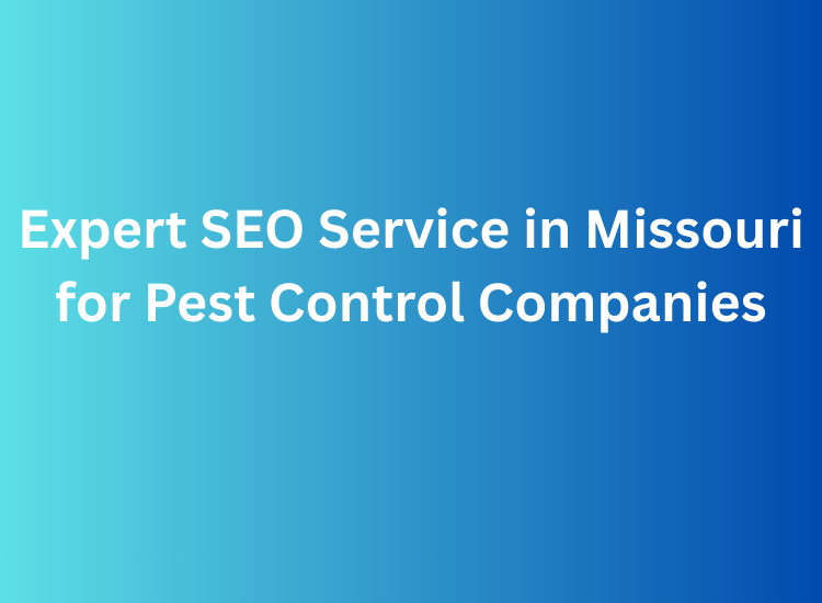 Expert SEO Service in Missouri for Pest Control Companies