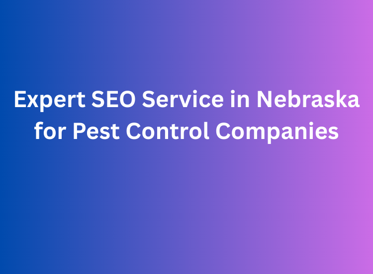 Expert SEO Service in Nebraska for Pest Control Companies