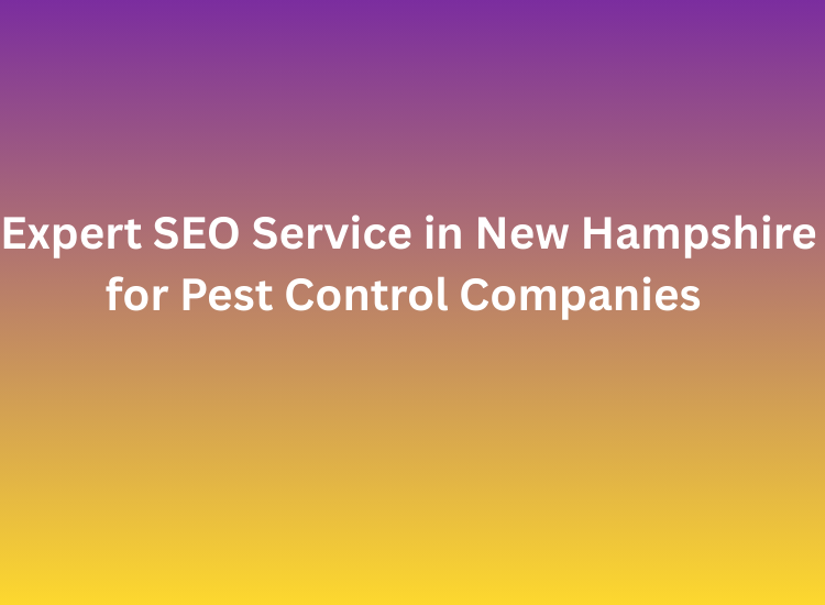 Expert SEO Service in New Hampshire for Pest Control Companies