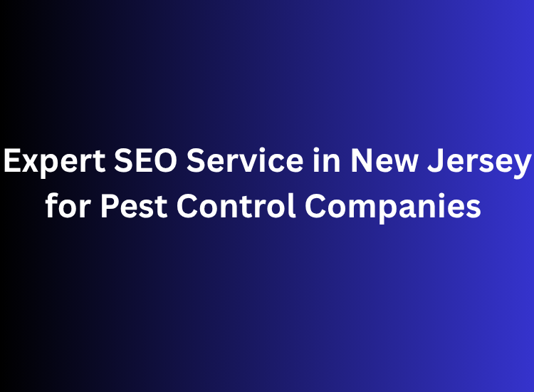 Expert SEO Service in New Jersey for Pest Control Companies