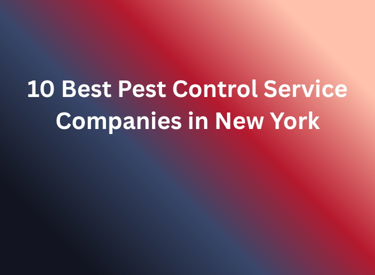10 Best Pest Control Service Companies in New York