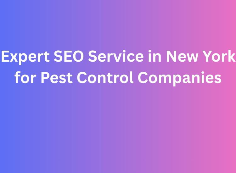 Expert SEO Service in New York for Pest Control Companies