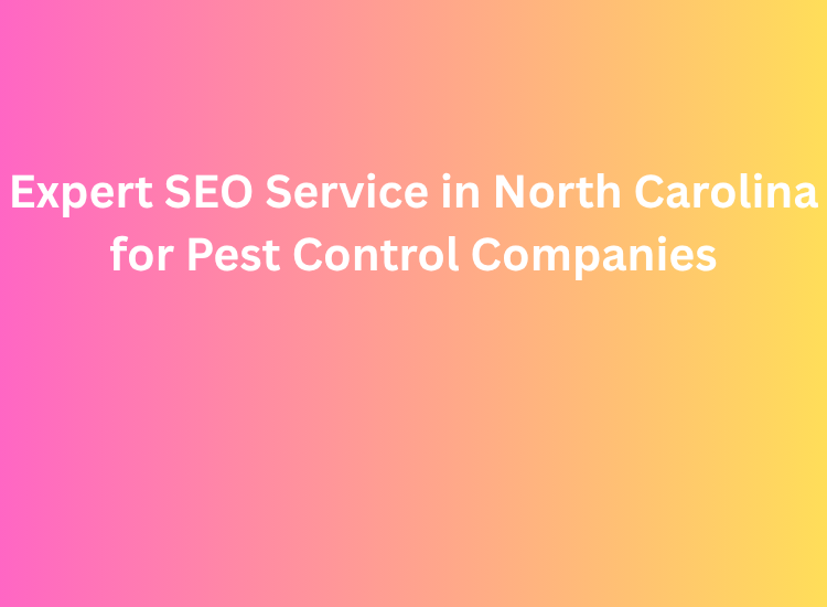 Expert SEO Service in North Carolina for Pest Control Companies