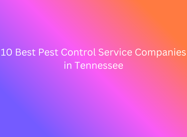 10 Best Pest Control Service Companies in Tennessee