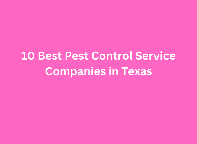 10 Best Pest Control Service Companies in Texas
