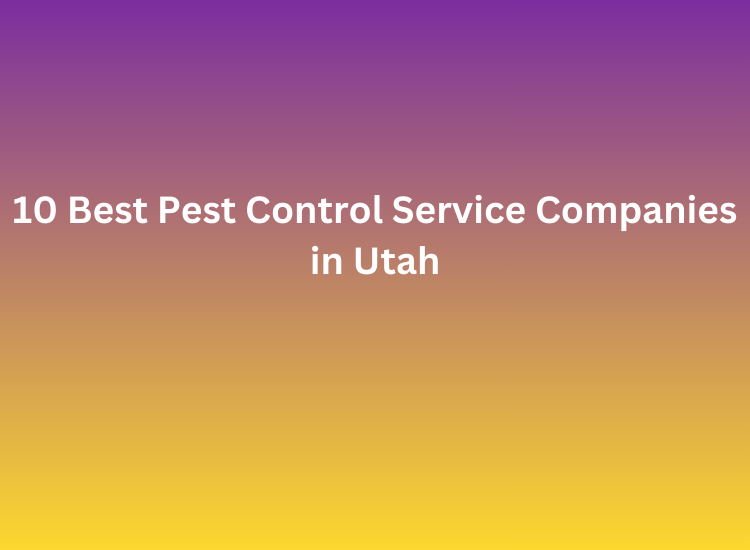 Best Pest Control Service