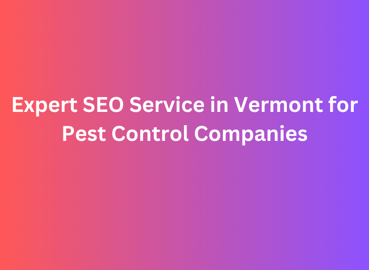 Expert SEO Service in Vermont for Pest Control Companies