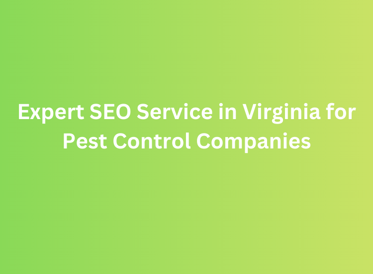 Expert SEO Service in Virginia for Pest Control Companies