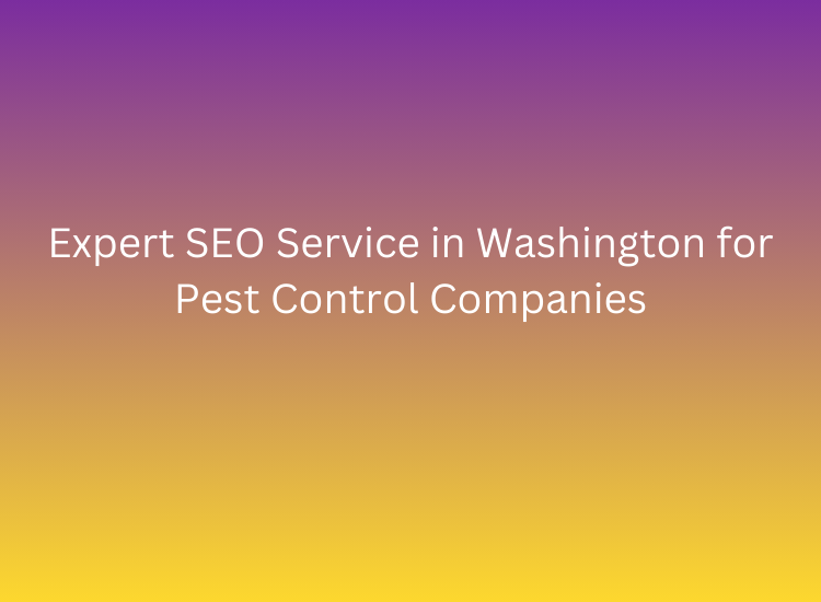 Expert SEO Service in Washington for Pest Control Companies
