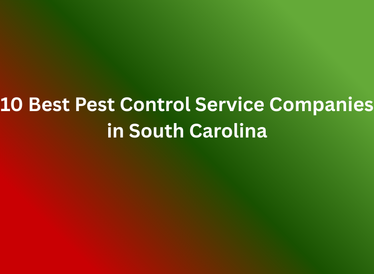 Pest Control Service