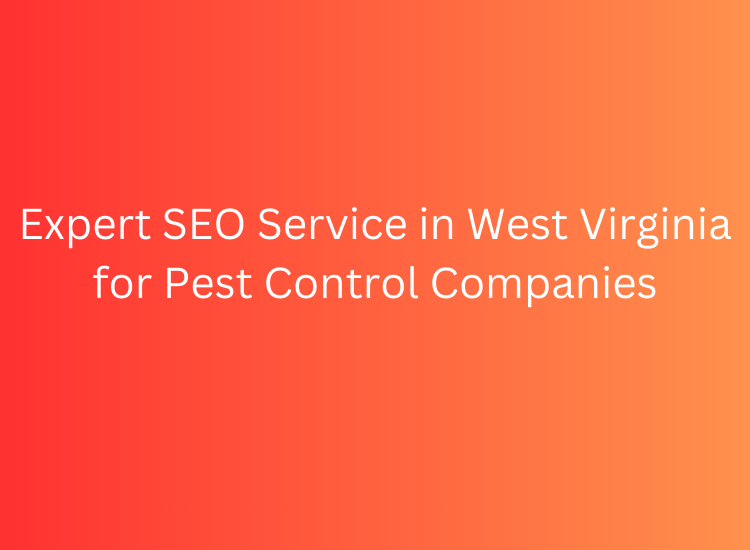 Expert SEO Service in West Virginia for Pest Control Companies