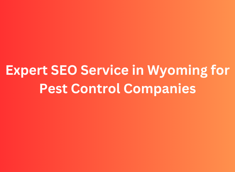 Expert SEO Service in Wyoming for Pest Control Companies